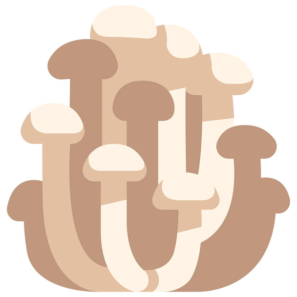 icône de légumes. illustration vectorielle. champignons blancs - Vecteur, image