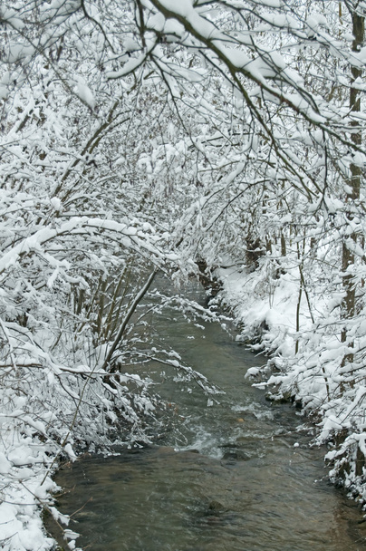 zimowa scena z snowy creek - Zdjęcie, obraz