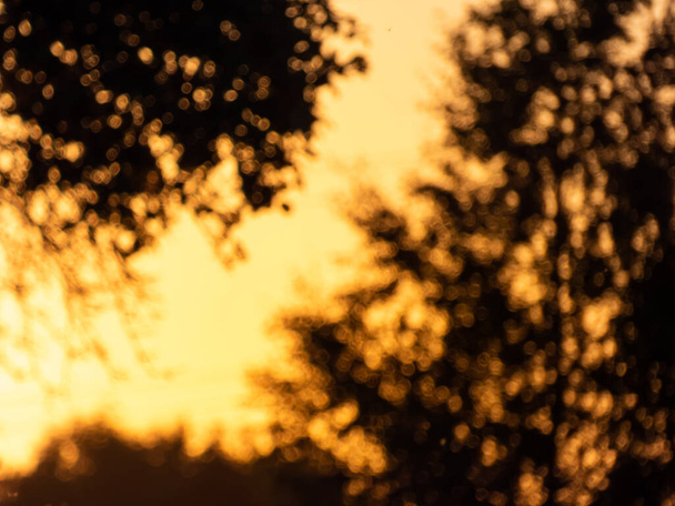 Golden bokeh αποτέλεσμα και σκόπιμα θολή θέα τοπίο του ηλιοβασιλέματος throught σκιές δέντρων. Χρυσό, πορτοκαλί και κίτρινο φόντο - Φωτογραφία, εικόνα