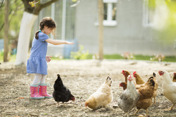 Kleines Mädchen füttert Hühner - Foto, Bild