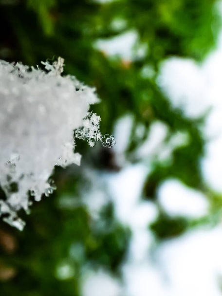 Macro foto van perfecte, duidelijke geometrische sneeuwvlok op een groene en witte achtergrond. Mooie winterse achtergrond, seizoensgebonden natuur en het weer in de winter - Foto, afbeelding
