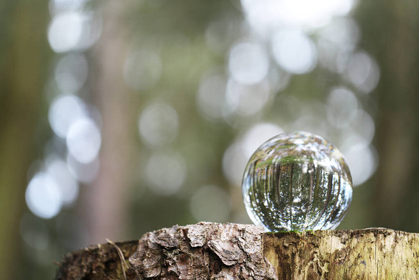 Concepto del día de la tierra.Concepto ecológico.Bola de vidrio con reflexión forestal sobre un tocón en el bosque. Protección del medio ambiente y conservación de la naturaleza Salvar el medio ambiente y proteger los bosques - Foto, Imagen