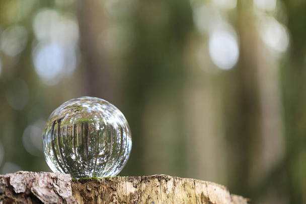 Föld nap koncepció. Ökológiai koncepció. labda erdei tükörképpel egy fatönkön az erdőben. Környezetvédelem és természetvédelem.Környezetvédelem és erdővédelem - Fotó, kép