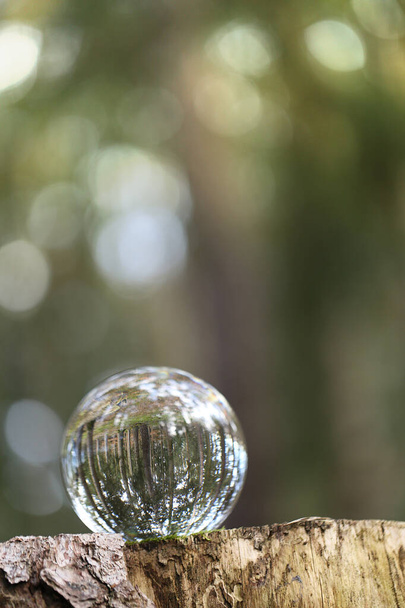 Conceito de dia da terra.Conceito ecológico.Bola de vidro com reflexão florestal na floresta. Protecção do ambiente e conservação da natureza.Salvamento do ambiente e protecção das florestas - Foto, Imagem