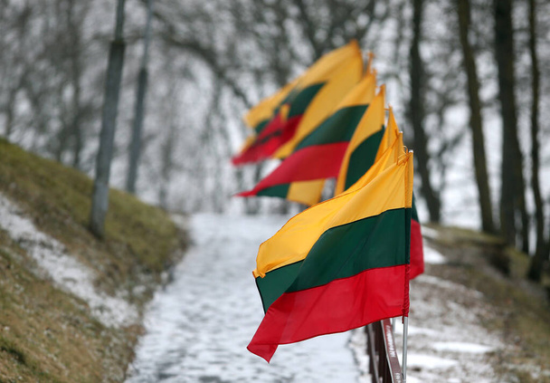 Bandeira do Estado lituano, ao lado do caminho. Kedainiai. - Foto, Imagem