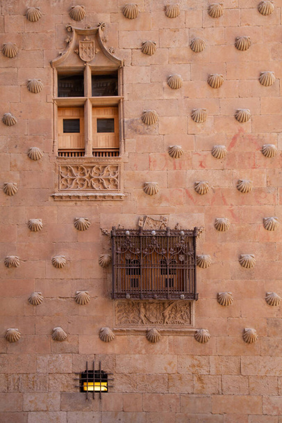 Détail des vieilles fenêtres de la Casa de las Conchas à Salamanque - Photo, image