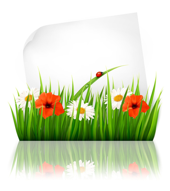 Nature background with grass and a sheet of paper. Vector.  - Vector, Image