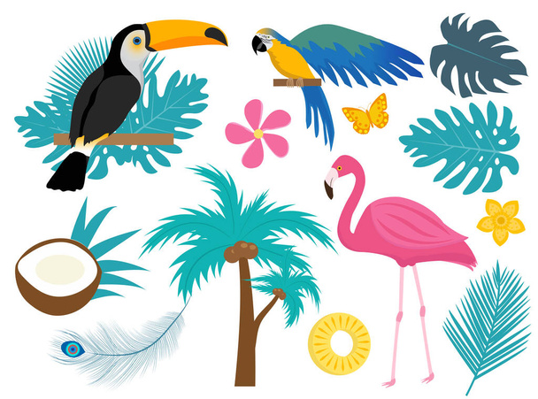 Kuşları ve çiçekleri olan tropik bir ikon seti, düz, çizgi film tarzı. Tukan, papağan, bitki, flamingo ve çiçekli egzotik tasarım elementleri koleksiyonu. Cennet eşyaları. Vektör illüstrasyonu - Vektör, Görsel