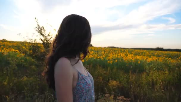 Profil hezké dívky kráčející venku s kvetoucí slunečnice pole na pozadí. Mladá žena projíždí krajinou a užívá si svobody a krásného letního prostředí při západu slunce. Zpomalený pohyb - Záběry, video