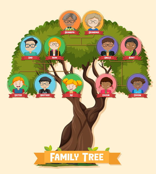Diagrama que muestra la ilustración del árbol genealógico de tres generaciones - Vector, Imagen