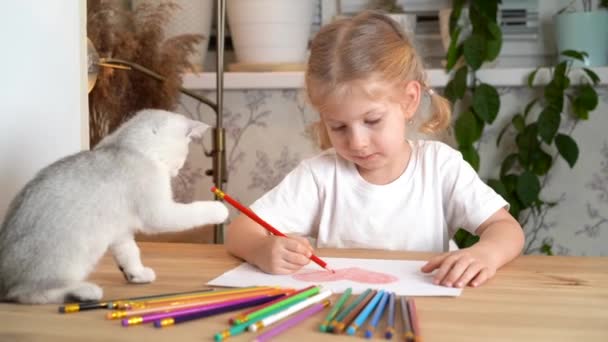 una piccola ragazza bionda sta disegnando un cuore con matite colorate, e un gattino scozzese bianco è seduto accanto a lei e gioca con una matita - Filmati, video
