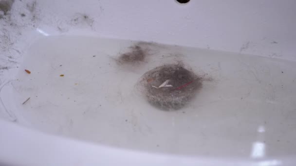 Fregadero con pelo, lana, escombros en el baño. Bloqueo de alcantarillado. 180fps - Imágenes, Vídeo