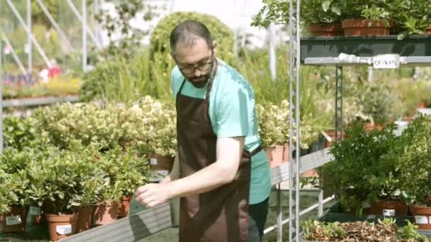 Broeikas Latijnse tuinman selecteren van home planten te koop - Video