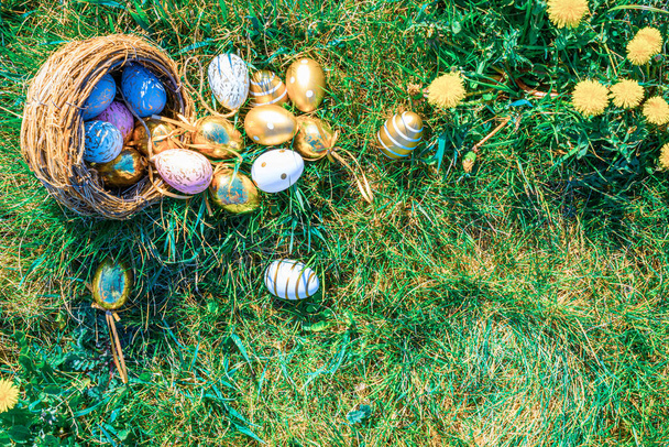 Easter basket eggs. Golden egg with yellow spring flowers in celebration basket on green grass background. Traditional decoration in sun light - Photo, Image
