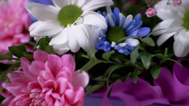 多色の菊の明るく光沢のある花束、デイジー。4K 。スローモーション - 映像、動画
