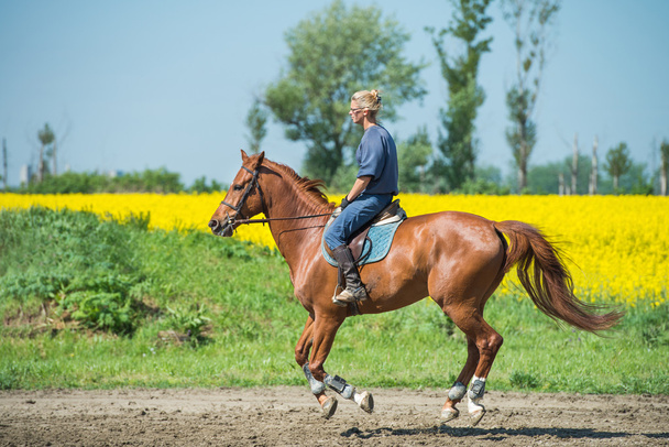 Tyttö ratsastaa hevosella  - Valokuva, kuva