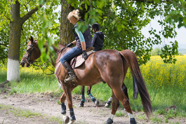 Girls on horseback riding - Photo, Image