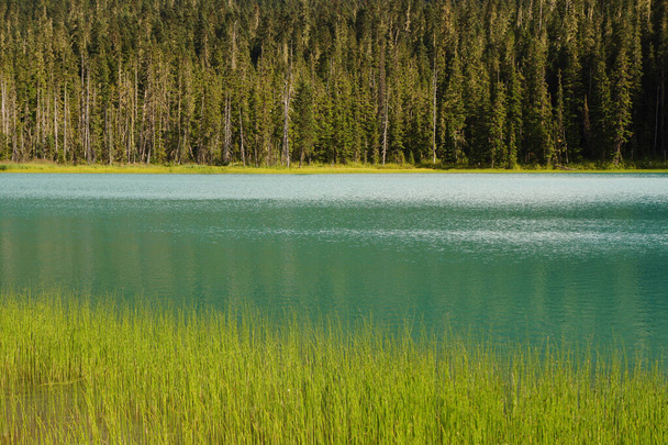 Panorama ipnotizzante del lago di Joffre - Foto, immagini