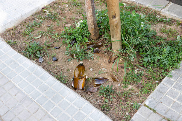Zerbrochene Bierflasche im Park. Gefährliches Verhalten junger Menschen. Alkoholkonsum im Stadtpark - Foto, Bild