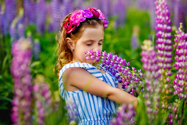 Bella ragazza 5 anni nel campo con lupini. Un prato con fiori viola e una bambina con una corona in testa. Un tramonto soleggiato in una radura e una ragazza che annusa fiori. Alta qualità - Foto, immagini