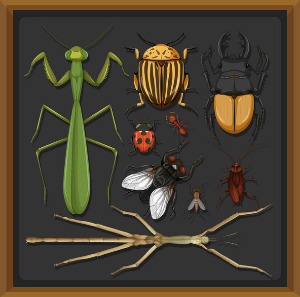 Joukko erilaisia hyönteisiä puurunkoisessa taustakuvassa - Vektori, kuva