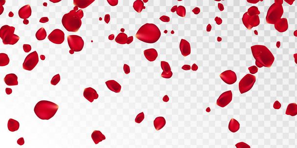 Tło z czerwonymi płatkami róż. EPS 10 wektor. Spadające czerwone płatki kwiatów na różowym tle. Szczęśliwych Walentynek. Walentynki tle. - Wektor, obraz