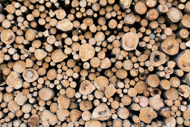 stack of firewood wood - Photo, Image