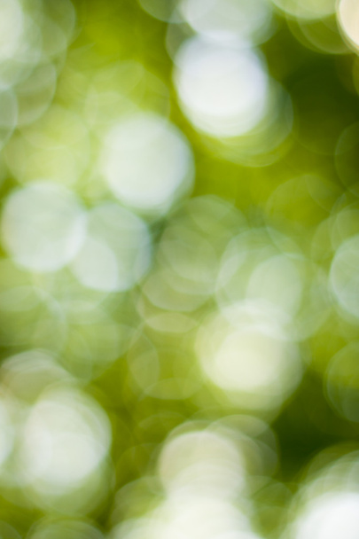 Мягкий зеленый природный боке фон
 - Фото, изображение