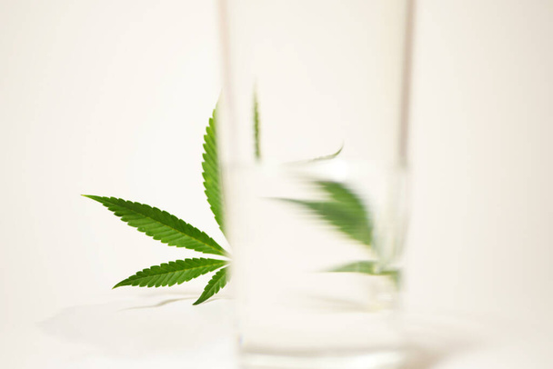 Cannabis blättert durch ein Glas Wasser. Optische Täuschung. Brechungswirkung.  - Foto, Bild