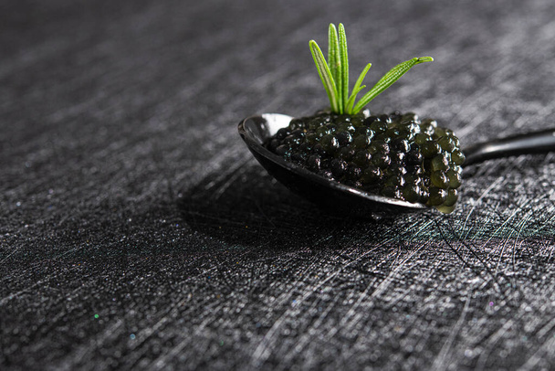 Black fish caviar with rosemary branch on a stone background. Seafood diet. - Photo, Image