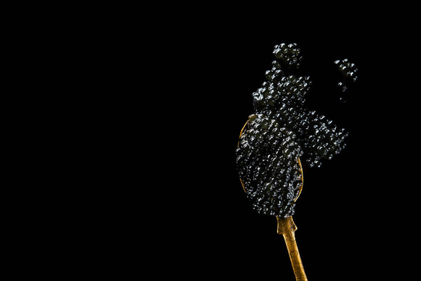 Black beluga caviar on a spoon isolated on a black background. seafood diet food. top view - Photo, Image