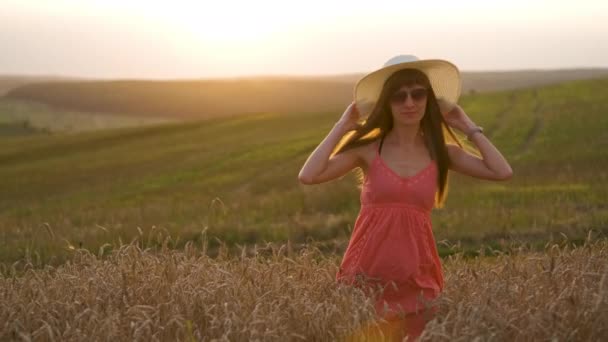 Dlouhé vlasy šťastný mladá žena chůze na zlaté pšenice pole v teplém letním večeru. - Záběry, video