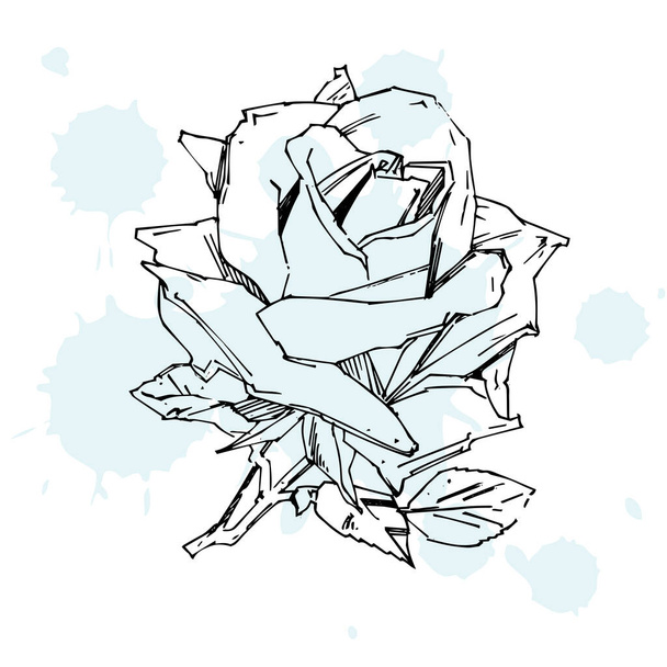 Hand drawn rose. Vector illustration. Vintage tattoo style rose. Flower motif sketch for design. - Vector, Image