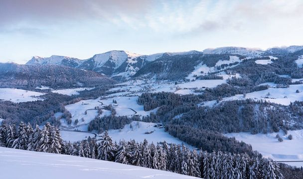 Зимовий пейзаж на заході сонця в Альпах Альґеу поблизу Оберстауфена з видом на Бреґенцервальд, Форарльберг, Австрія. - Фото, зображення