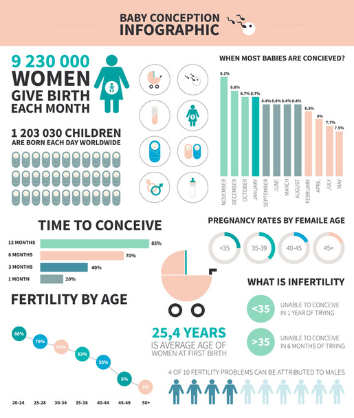 Baby conception infographic  - Διάνυσμα, εικόνα