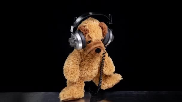 Teddy hond beweegt rond met hoofdtelefoon - Video
