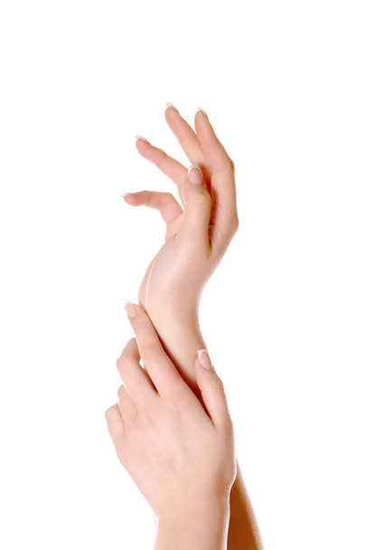 Elegant female hands  - Foto, Imagen