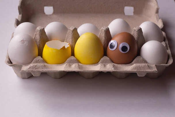 卵の箱の中に色の違う有機鶏の卵。鶏の異なる品種の卵. - 写真・画像