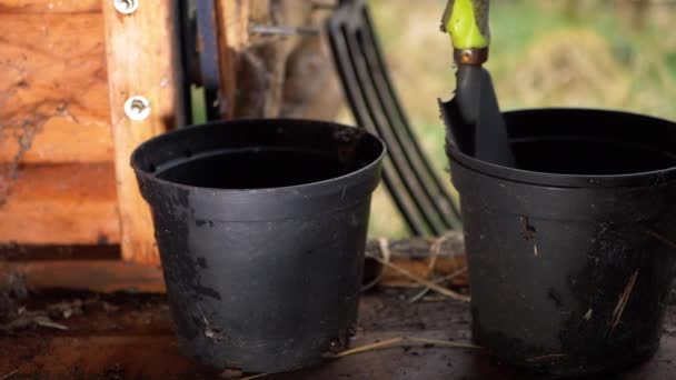 Gartenhäuschen aus Holz mit Pflanzkübel und Gartengeräten - Filmmaterial, Video