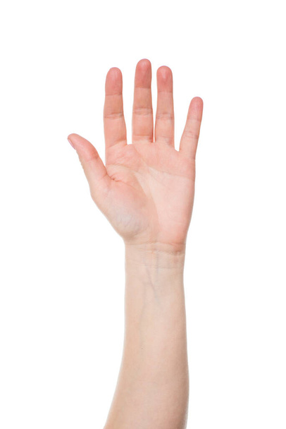 Young womans hand, palm up isolated on white background. - Valokuva, kuva