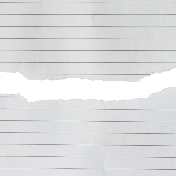 Línea de papel desgarrado con espacio para texto
 - Foto, imagen