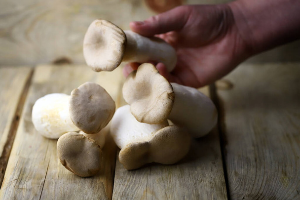 Rauwe eringi champignons op een houten ondergrond. - Foto, afbeelding
