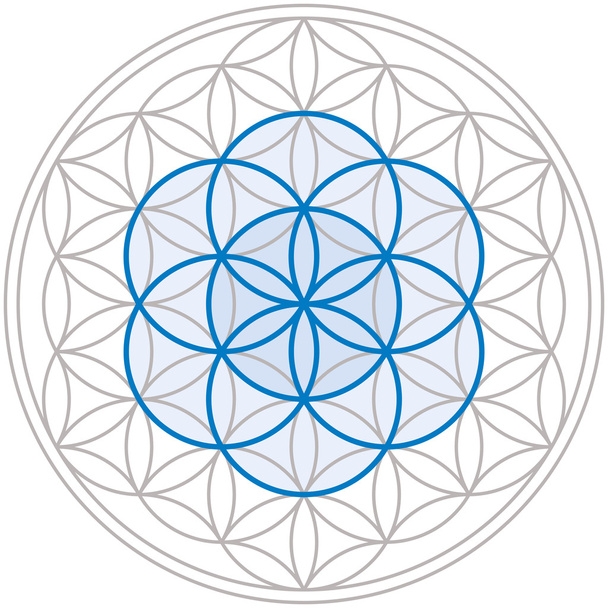 Seed Of Life In Flower Of Life - Vector, Image