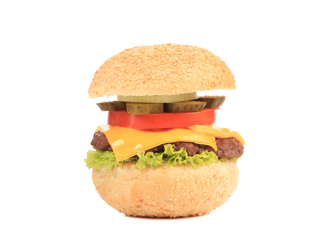 Tasty hamburger. - Foto, immagini