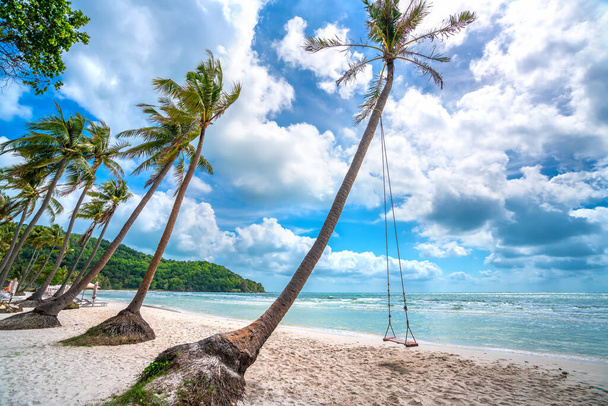 スイングは、ベトナムのフーコック島の牧歌的なサンパウロビーチにあるヤシの木に取り付けられました。サンビーチはベトナムの最高のビーチの一つです。. - 写真・画像
