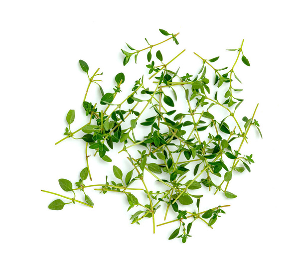 čerstvý tymián nebo citron tymián list izolované na bílém pozadí, zelené listy vzor - Fotografie, Obrázek