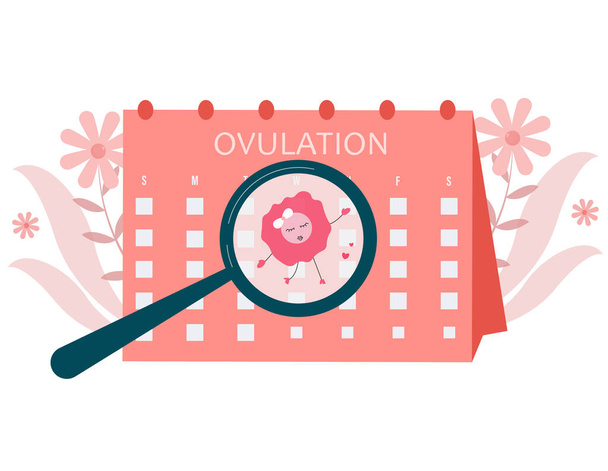 Ilustración del concepto de ovulación. Fertilidad femenina. Quedarse embarazada. - Vector, Imagen