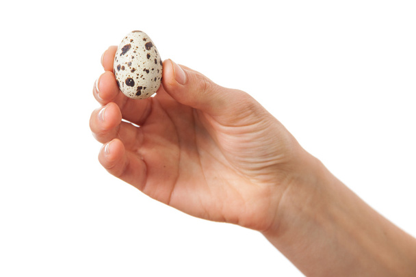 Quail eggs in hand, isolated on white - Photo, Image