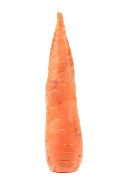 Fresh carrot. - Photo, image