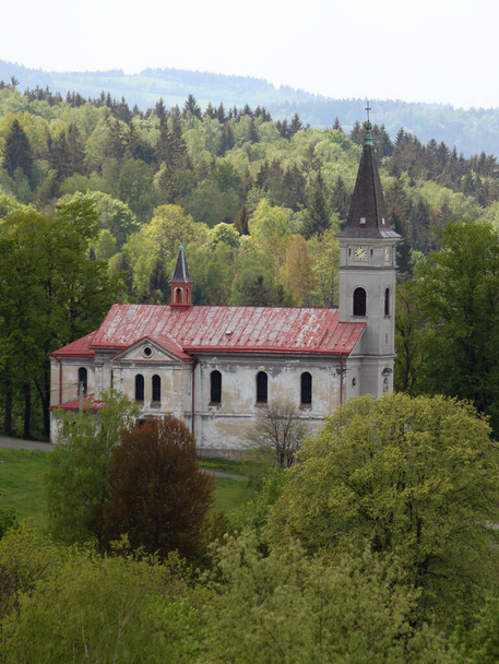 εκκλησία σε ένα ορεινό δασώδες τοπίο - Φωτογραφία, εικόνα